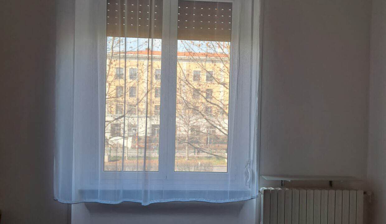 IMG-20240212-WA0008